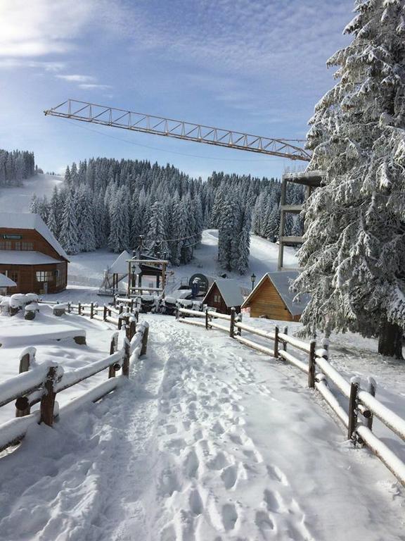 Apartments Vanja I Vrh Kopaonik Eksteriør bilde