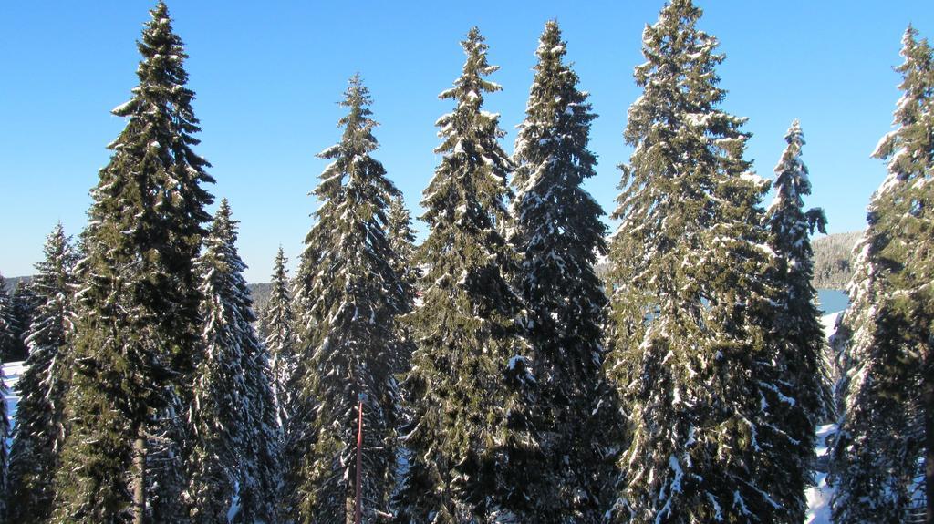 Apartments Vanja I Vrh Kopaonik Eksteriør bilde
